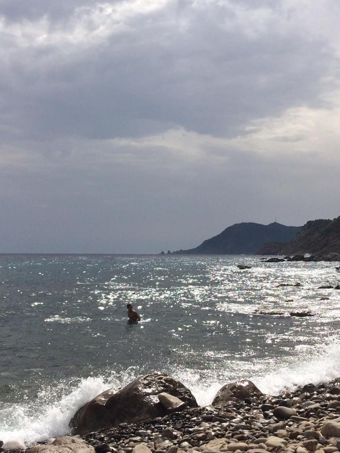 Les Bruyeres Panzió Saint-Mandrier-sur-Mer Kültér fotó