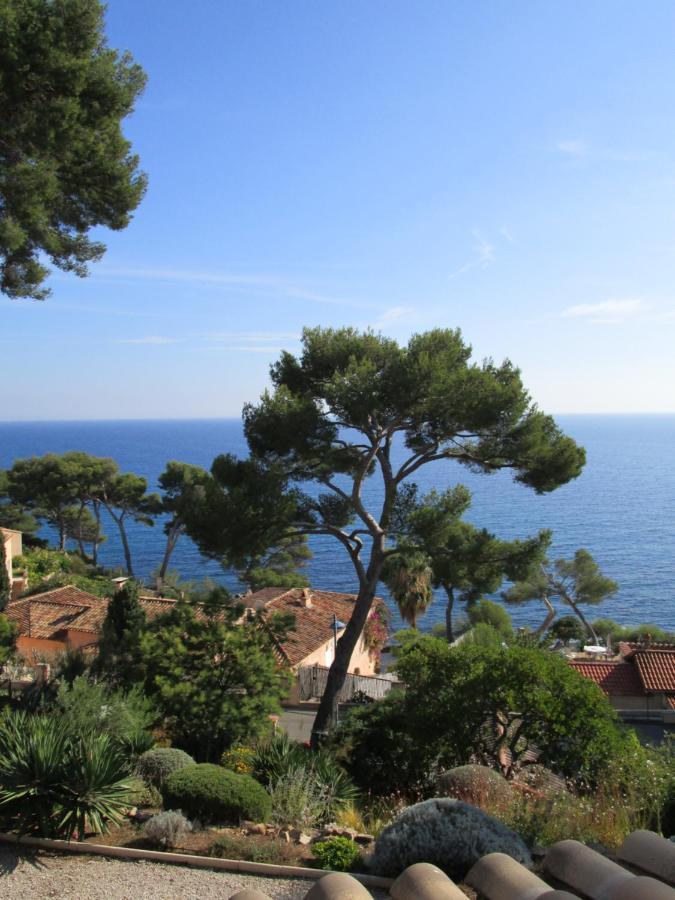 Les Bruyeres Panzió Saint-Mandrier-sur-Mer Kültér fotó