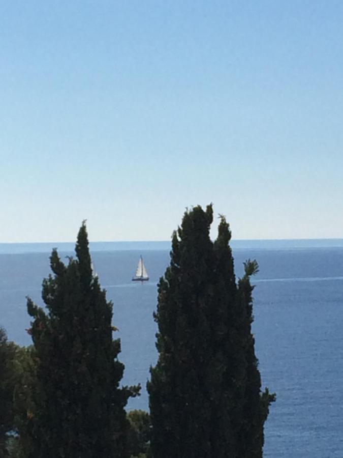 Les Bruyeres Panzió Saint-Mandrier-sur-Mer Kültér fotó