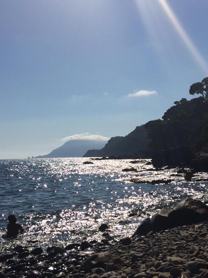 Les Bruyeres Panzió Saint-Mandrier-sur-Mer Kültér fotó